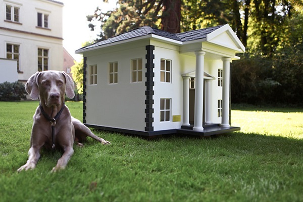 Casas para perros diseños
